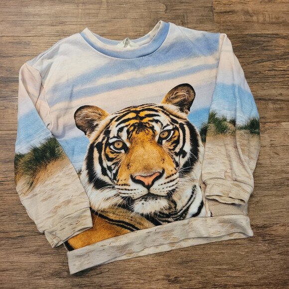 Kids H&M Tiger Sweater Size 4-6 - Excellent Condition - Picture 1 of 4
